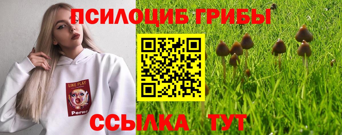 Псилоцибиновые грибы прущие грибы Валуйки
