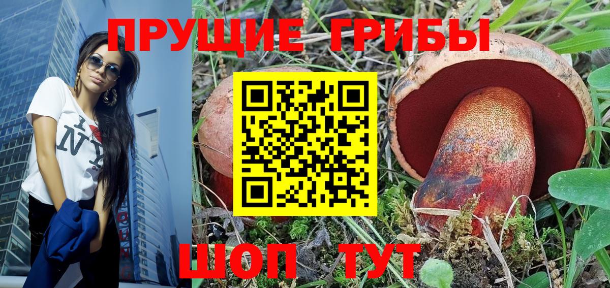 Валуйки  Галлюциногенные грибы прущие грибы  Вход с VPN  Псилоцибиновые грибы мицелий 